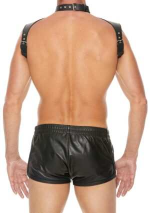 Men Harness with Neck Collar- Premium Leather - Black - One Size