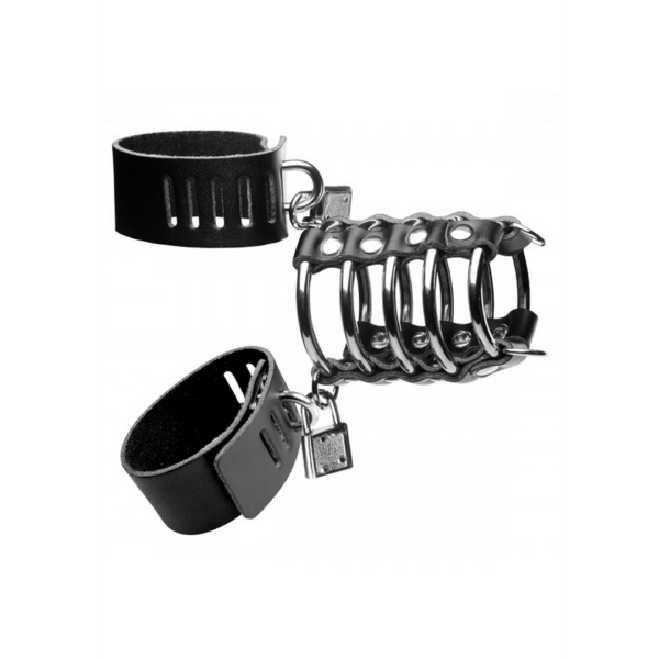 Strict - Gates of Hell Chastity Device