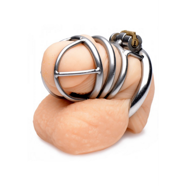 The Pen Deluxe Locking Chastity Cage - Silver